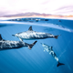 Un grupo de delfines giradores en Hawái. Imagen: Shutterstock